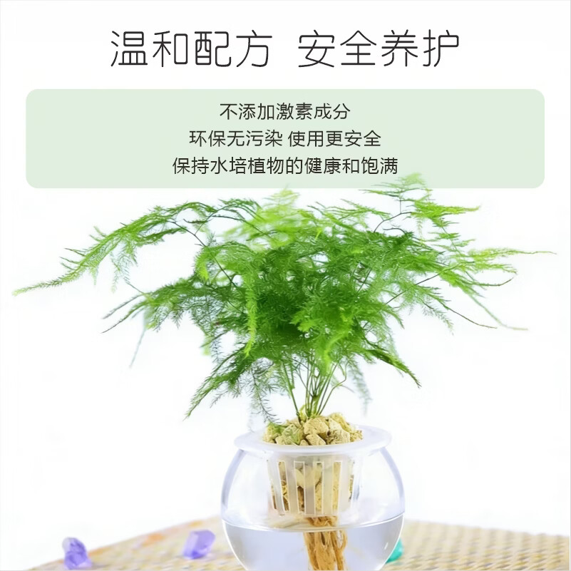 摩登农夫合先青苔净化液水培护根净水防蚊防菌病毒 100ml