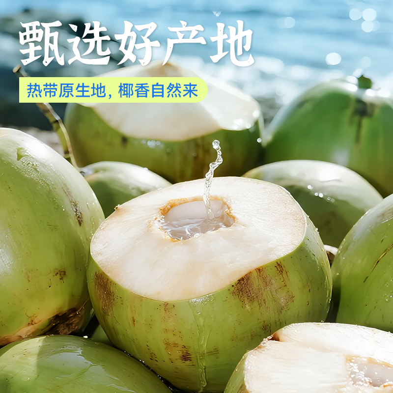 惠饮NFC100%椰子水1L*6瓶0蔗糖0脂肪含钾孕妇可喝天然电解质饮料果汁 1L*6瓶