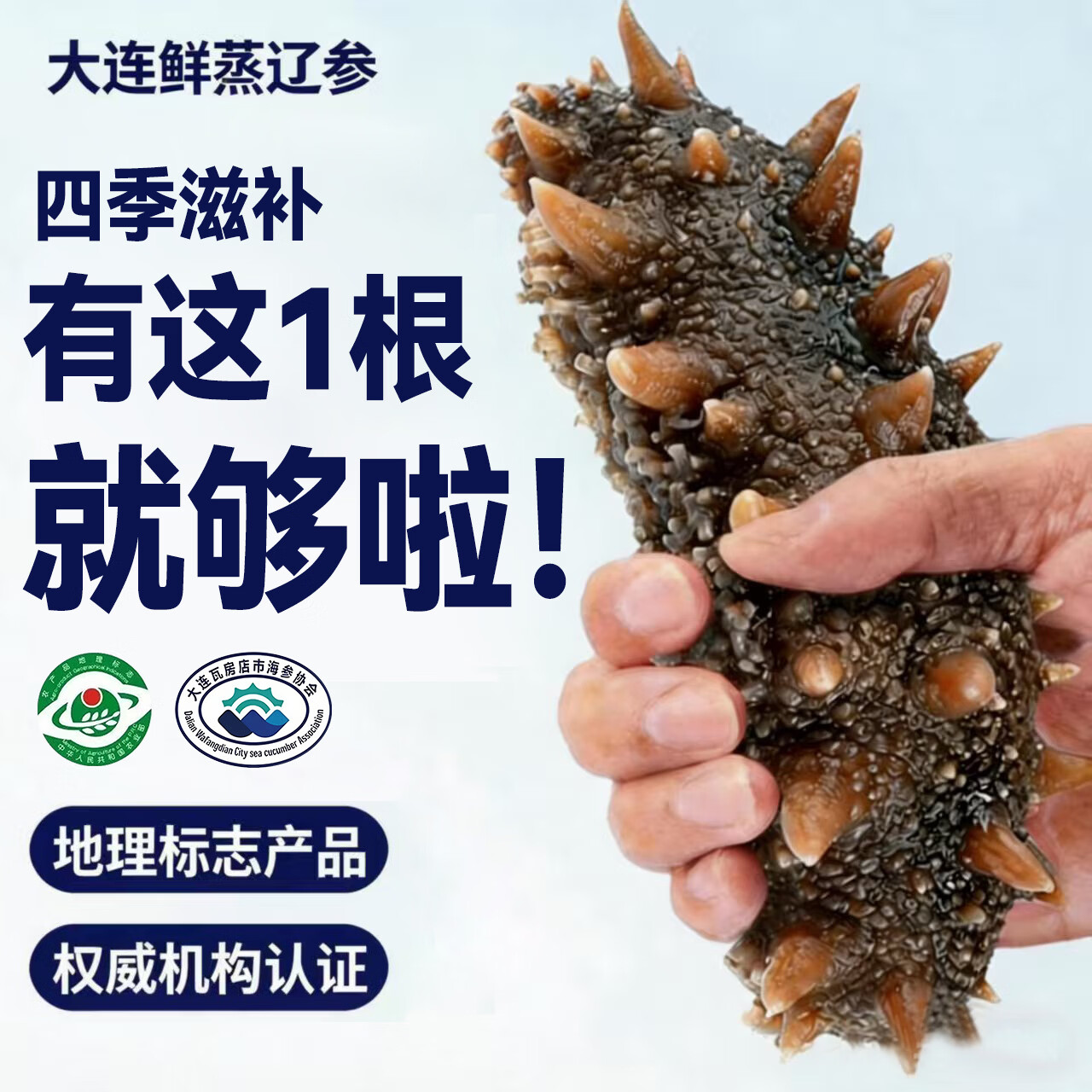 亿鲜笙海参即食大连鲜活野生辽参非干货海参孕妇刺参礼盒500g单个装 4-8只/斤【大号】地标认证辽参 2斤装【实惠滋补】