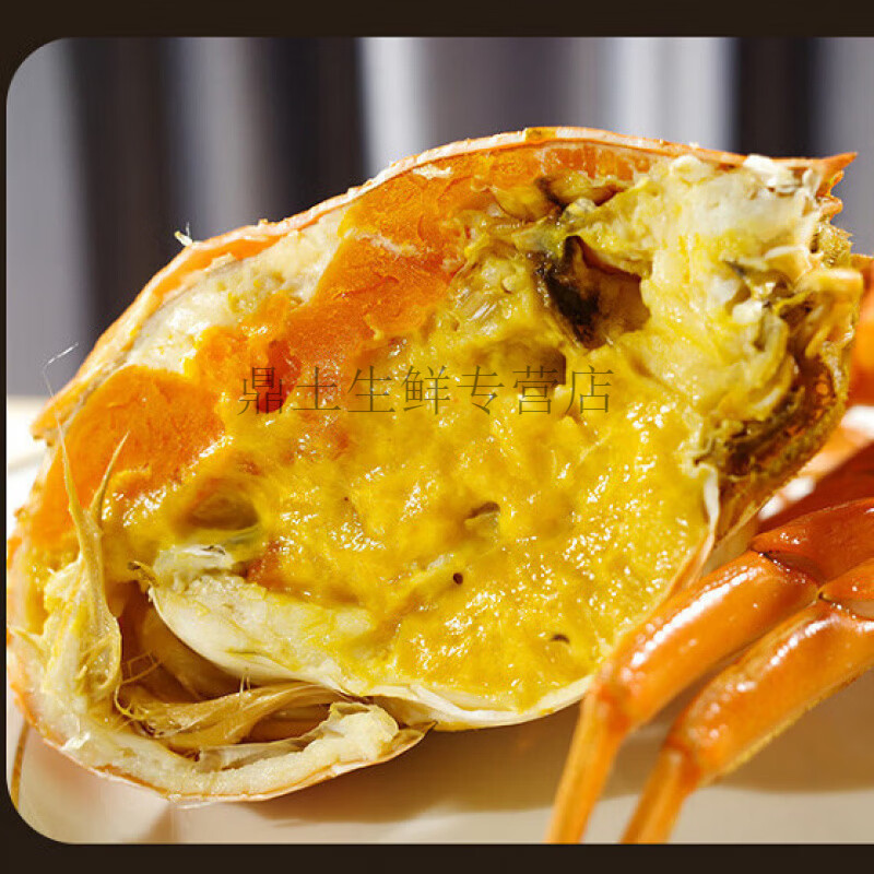 三门青蟹鲜活水产红母膏蟹特大红膏蟹大青蟹肉蟹礼盒装大螃蟹海鲜 三门母膏蟹【2斤礼盒装】发3-4只