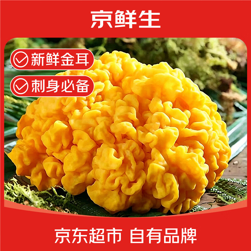 自营京鲜生新鲜金耳菌净重250g 9.9元 - 线报酷