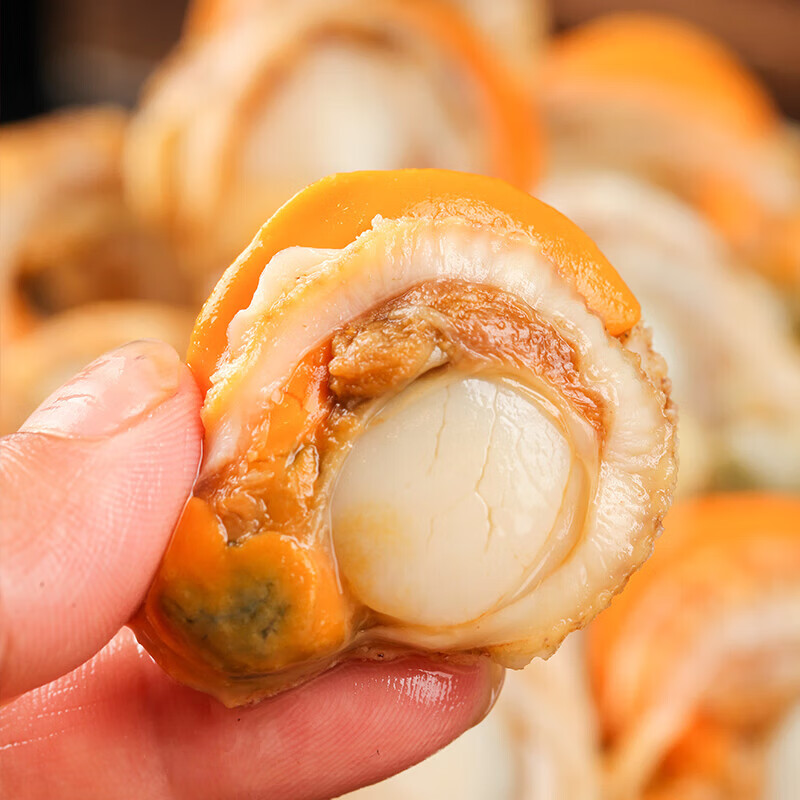 十里馋【新货上市】特大号扇贝肉纯野生海捕新鲜扇贝肉部分带黄冷冻海鲜 扇贝肉大号40-60规格 【500g】