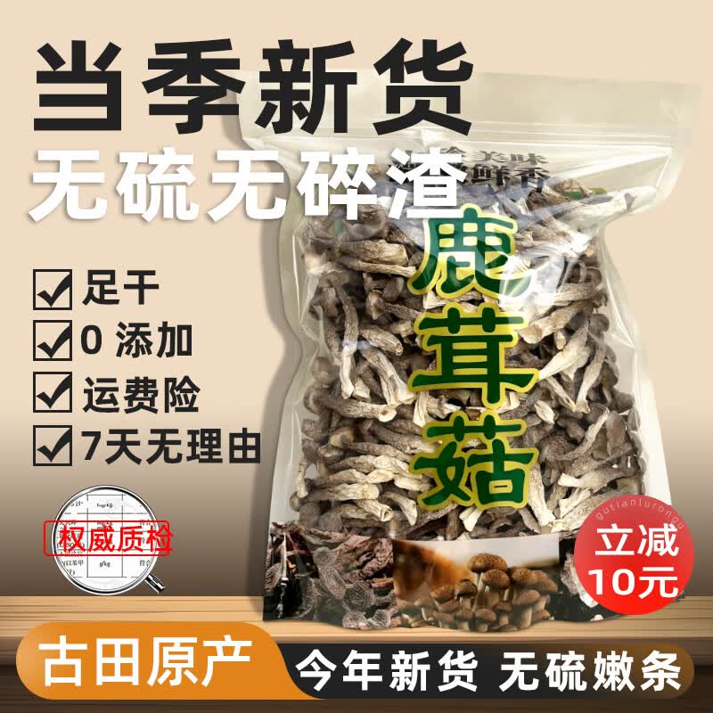 菌裕古田特级鹿茸菇干货500g精选当季原料火锅食材年货菌菇干货礼盒 精选鹿茸菇500g