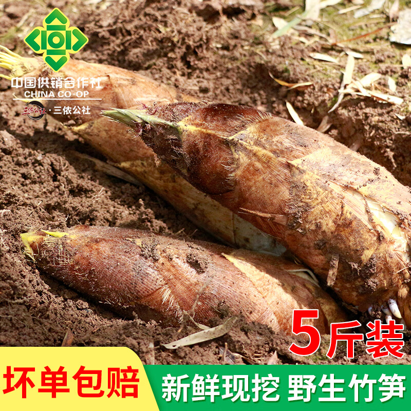 三侬公社新鲜春笋毛笋笋子轻食蔬菜5斤 新鲜毛笋5斤