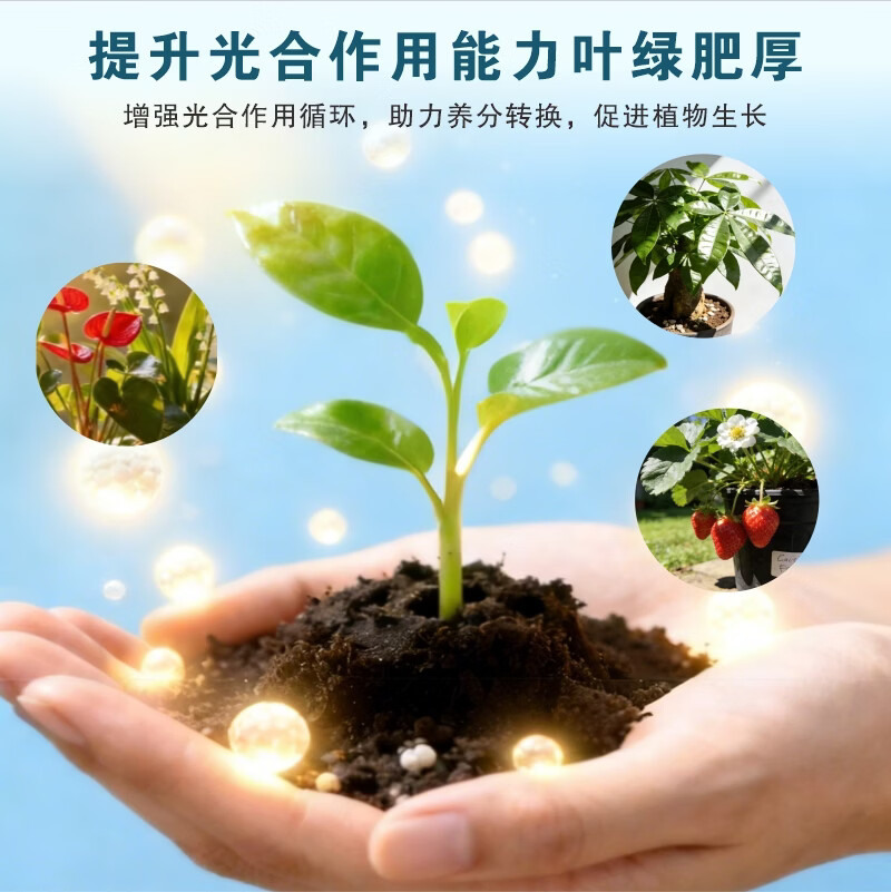 摩登农夫原动力抗冻抗旱促长促芽促苗修复黄叶幼宠安全hb101 50ml