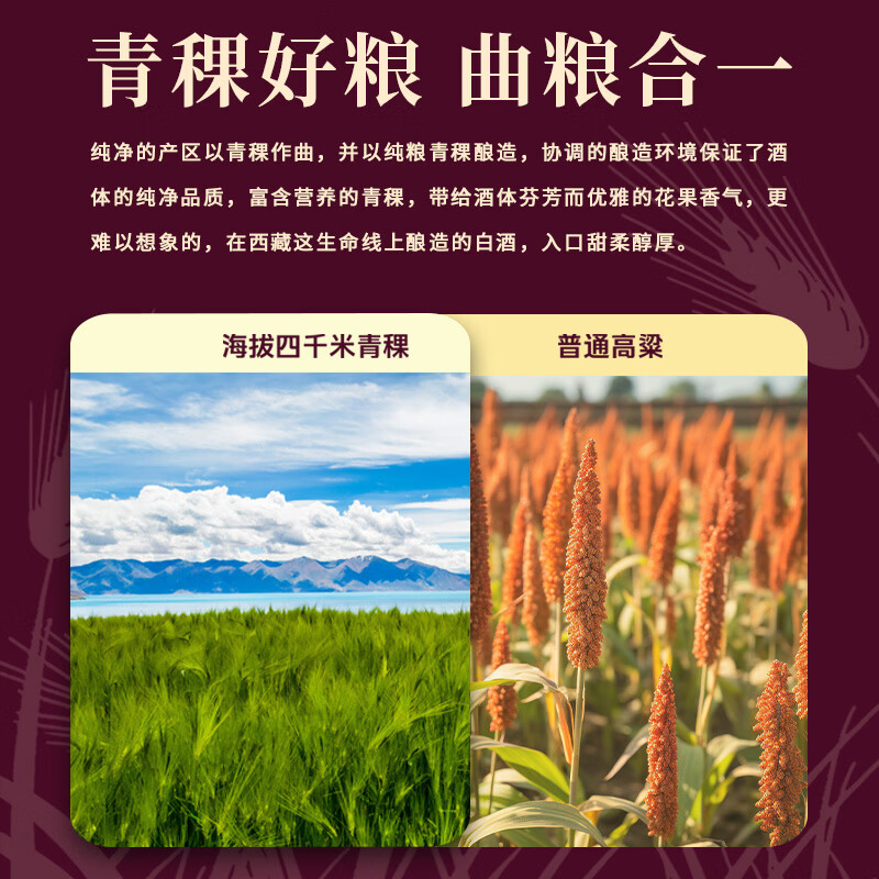 天佑德阿拉嘉宝天佑德青稞酒 清香型白酒 西藏特产 白酒礼盒 收藏礼赠 52度 500mL 6瓶 【圣湖4718】