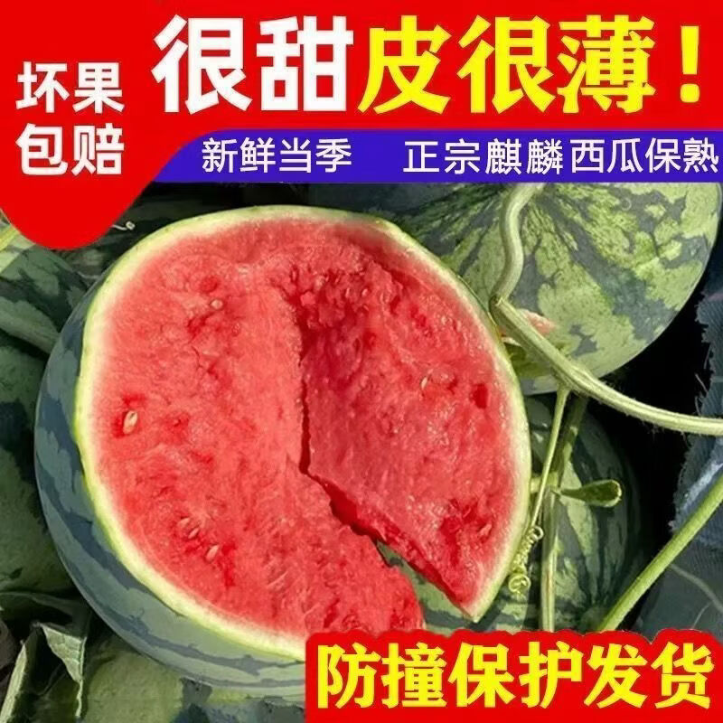 香当阳光【麒麟西瓜】云南西瓜脆甜瓜现摘薄皮美都新鲜泡沫箱发货现摘现发 【实惠超值】4-5斤【一个瓜】