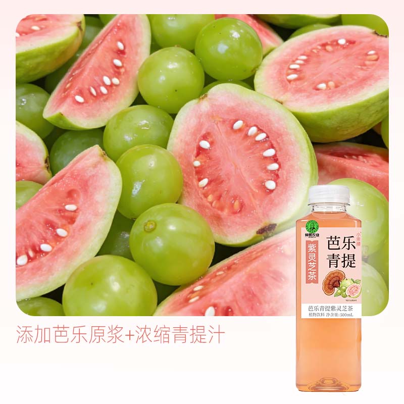仲景小束腰粉芭乐青提果汁紫灵芝茶植物饮料500ml便携装 粉芭乐青提 5瓶