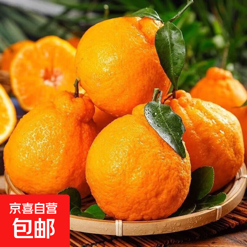 正宗四川眉山春见耙耙柑应当季新鲜水果丑橘子整箱 带箱8斤70-80mm【中果】