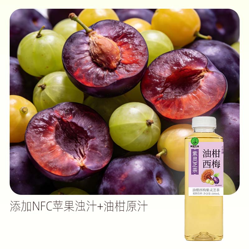 仲景小束腰油柑西梅果汁紫灵芝茶饮料500ml便携装 油柑西梅 5瓶