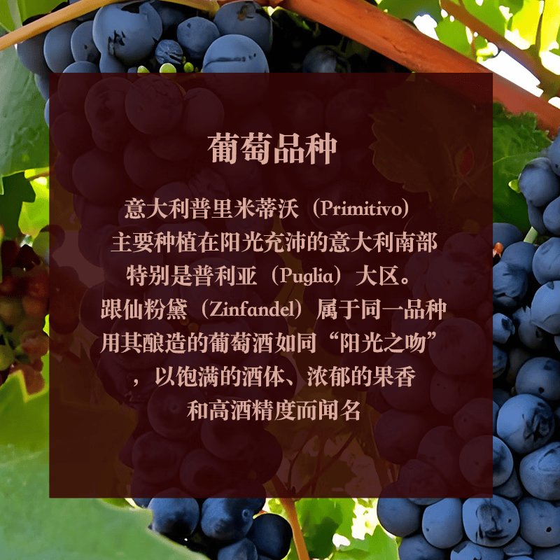 LEERER意大利DOC级珍藏Primitivo仙粉黛15度干红葡萄酒饱满浓郁送礼礼盒 【六支木箱】750ml*6