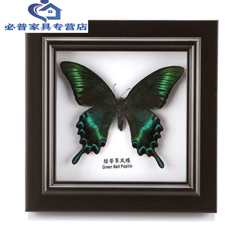 标本蝴蝶工艺品diy装饰品蝴蝶相框生日礼物墙上装饰品 夏型绿带翠凤蝶