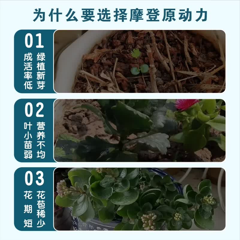 摩登农夫原动力抗冻抗旱促长促芽促苗修复黄叶幼宠安全hb101 50ml