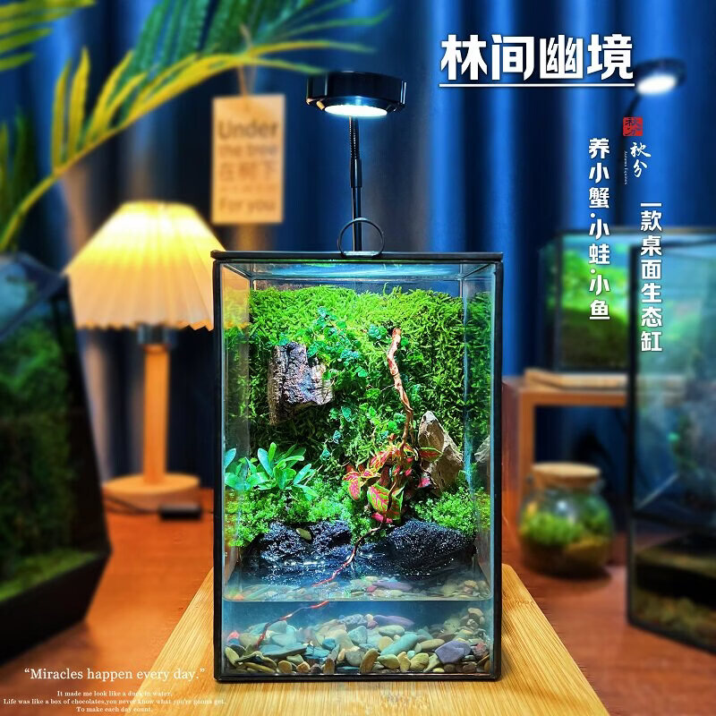 封茗苔藓微景观水陆盆景办公室桌搭树蛙养鱼蟹生态雨林缸室内绿植造景 树门精灵-做好发货+植物灯