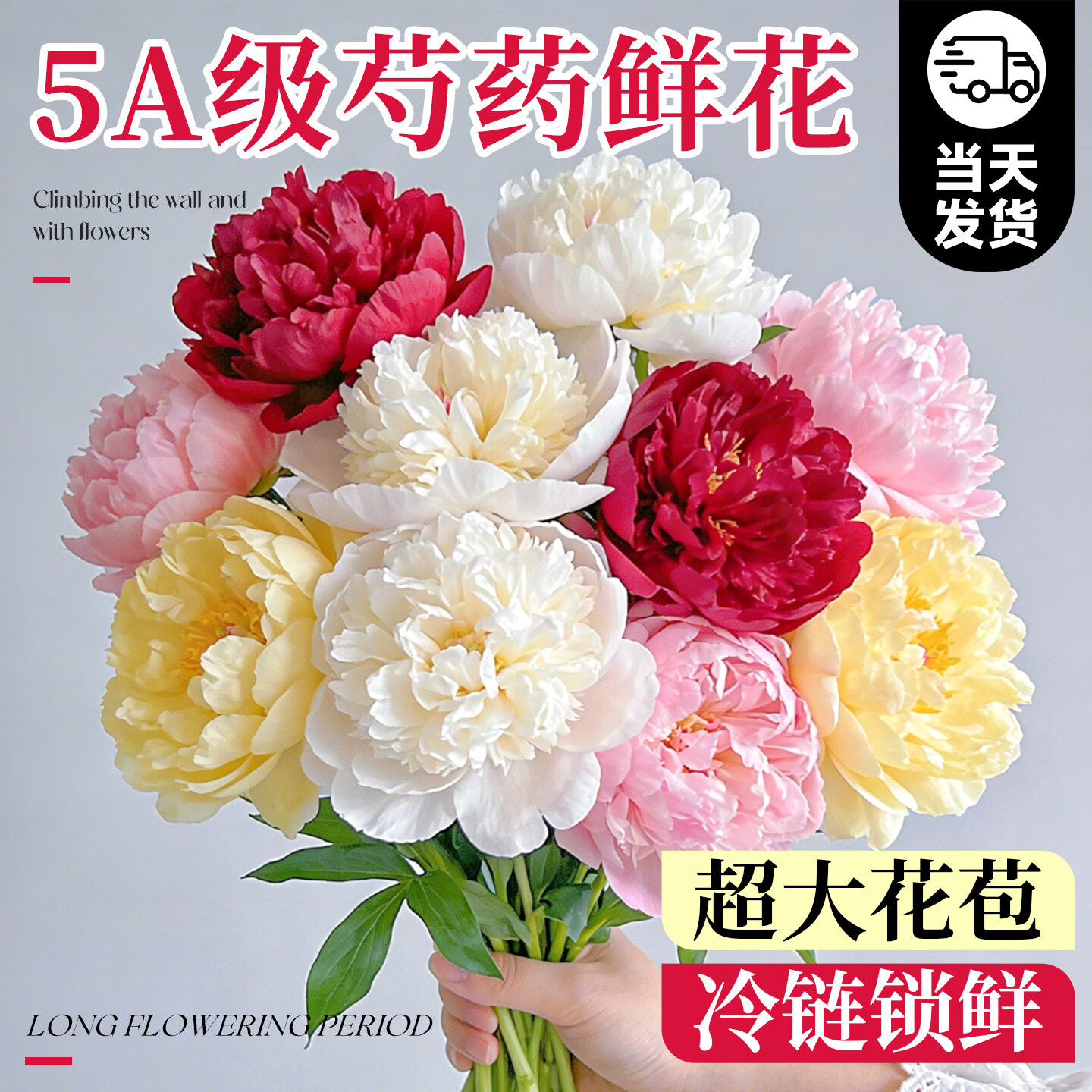 临雅芍药鲜花云南直发落日珊瑚重瓣花束进口山东油画牡丹百合鲜切花卉 5A特级芍药随机*10枝