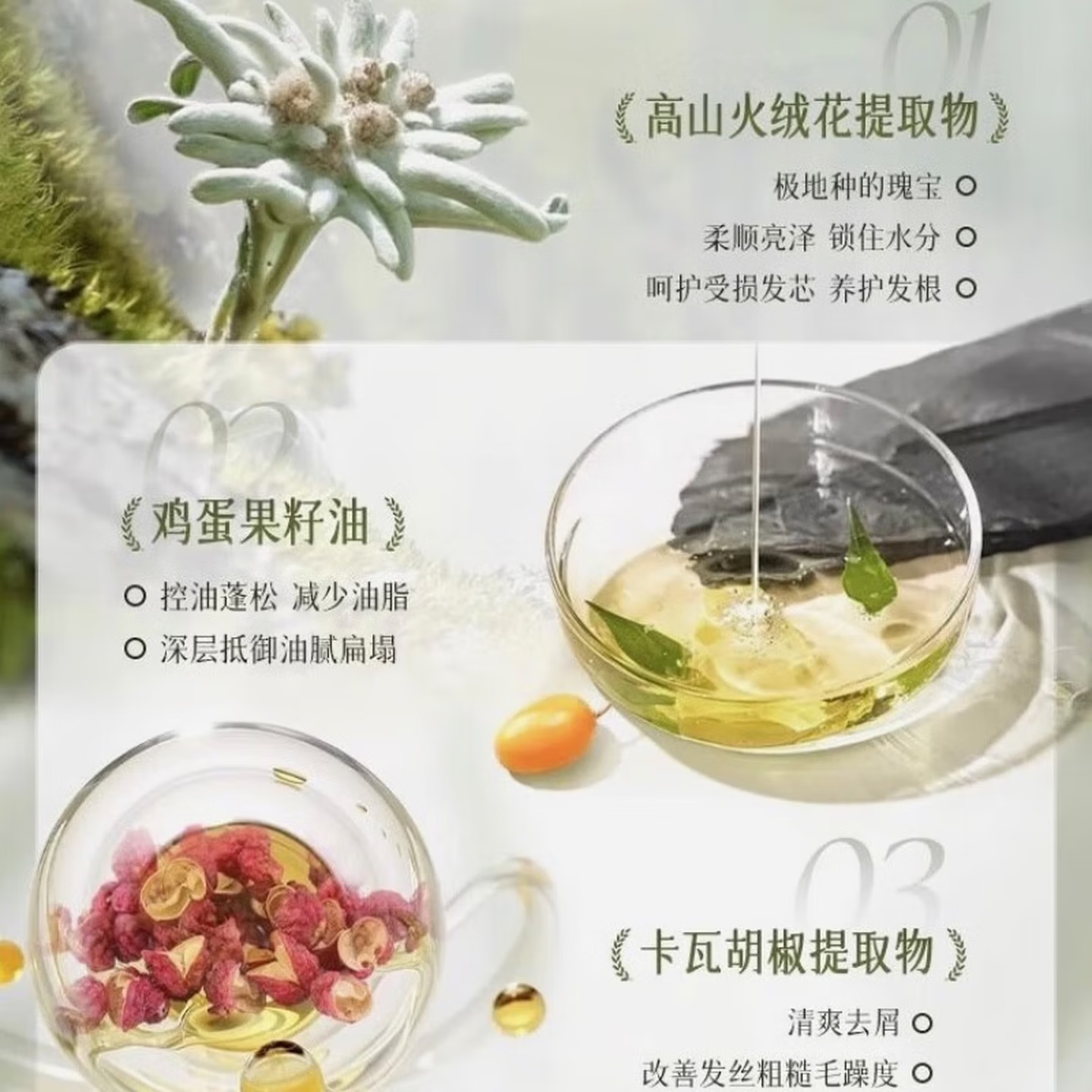 GINBI玉龙茶香洗发水男女士专用控油持久蓬松留香洗头膏露家庭版 玉龙茶香洗发水800ml×1瓶