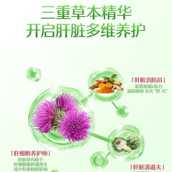 Swisse斯维诗护肝片转氨酶高脂肪肝损伤养肝奶蓟草水飞蓟净肝片解酒养护 【为肝减负 周期养护】120粒*3瓶