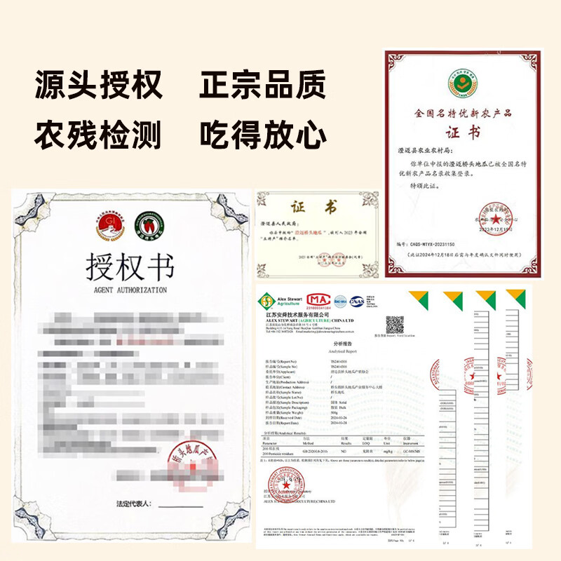 有鲜气海南澄迈馆 正宗桥头地瓜 长寿之乡珍品富硒地瓜沙地红薯桥头发货 精品中果9斤 正版授权