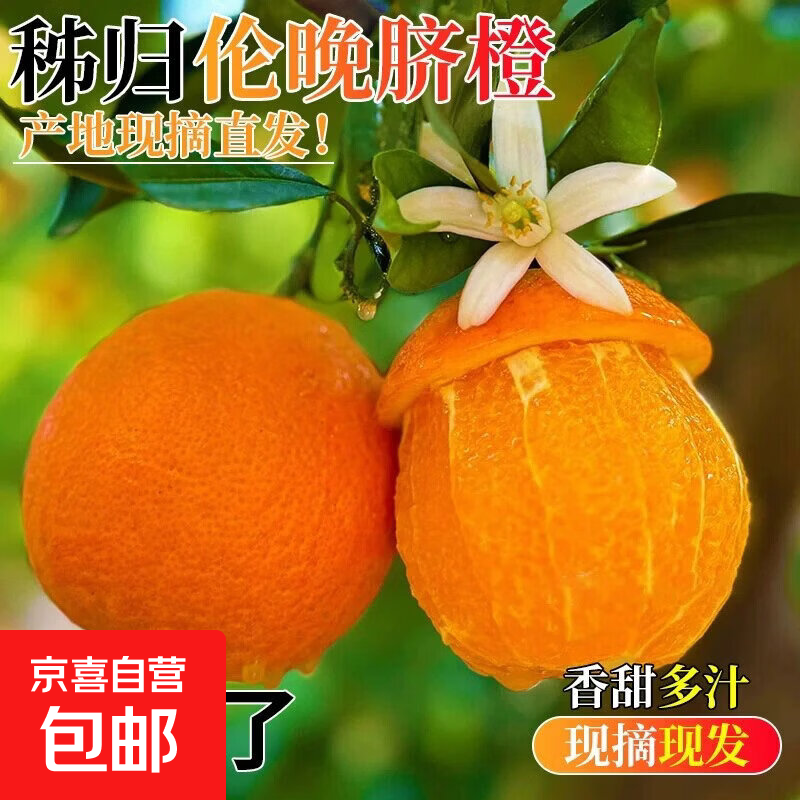 湖南芷江麻阳冰糖橙鲜甜爆汁冰糖柑水果产地直发树熟 50-60mm 麻阳冰糖橙 带箱1斤装50-60mm