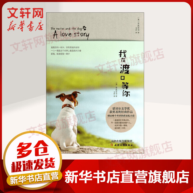 我在渡口等你 我在渡口等你