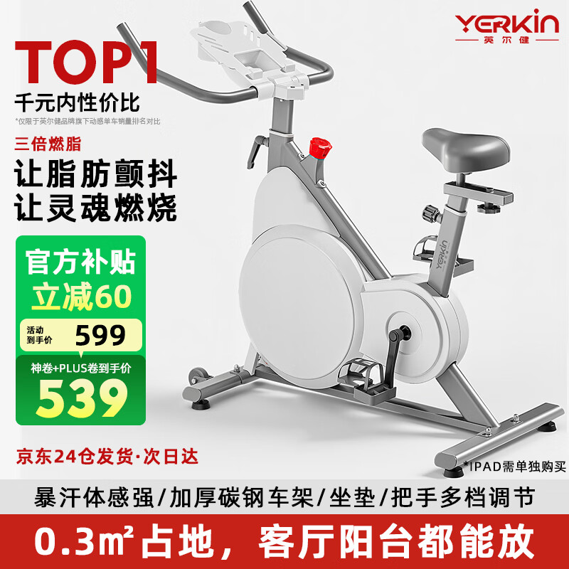 英尔健家用动感单车智能磁控静音运动减肥健身器材室内脚踏车健身单车 [标准款]物理阻力/AI体感/竞赛游戏/13斤全包飞轮组