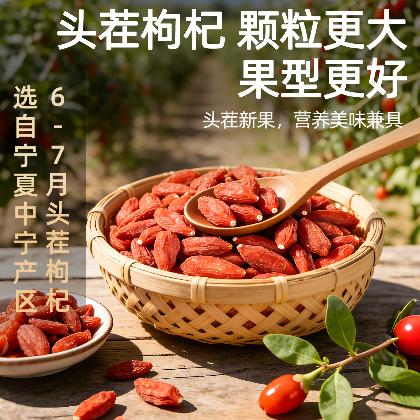 固滋方国药药材 枸杞子500g宁夏特级正宗原产地新货 枸杞泡水喝专用免洗 【特优贡果】精品 250g*1罐