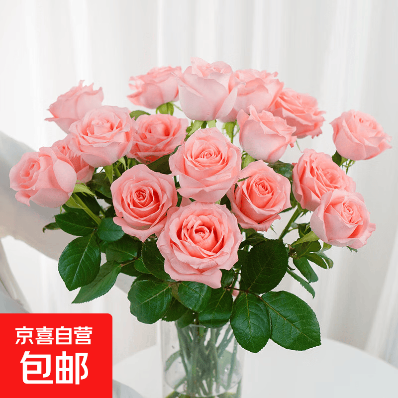 3-8妇女节随机色康乃馨10枝女神节鲜花生活鲜花昆明鲜花直发2 戴安娜玫瑰10枝（40-45cm）