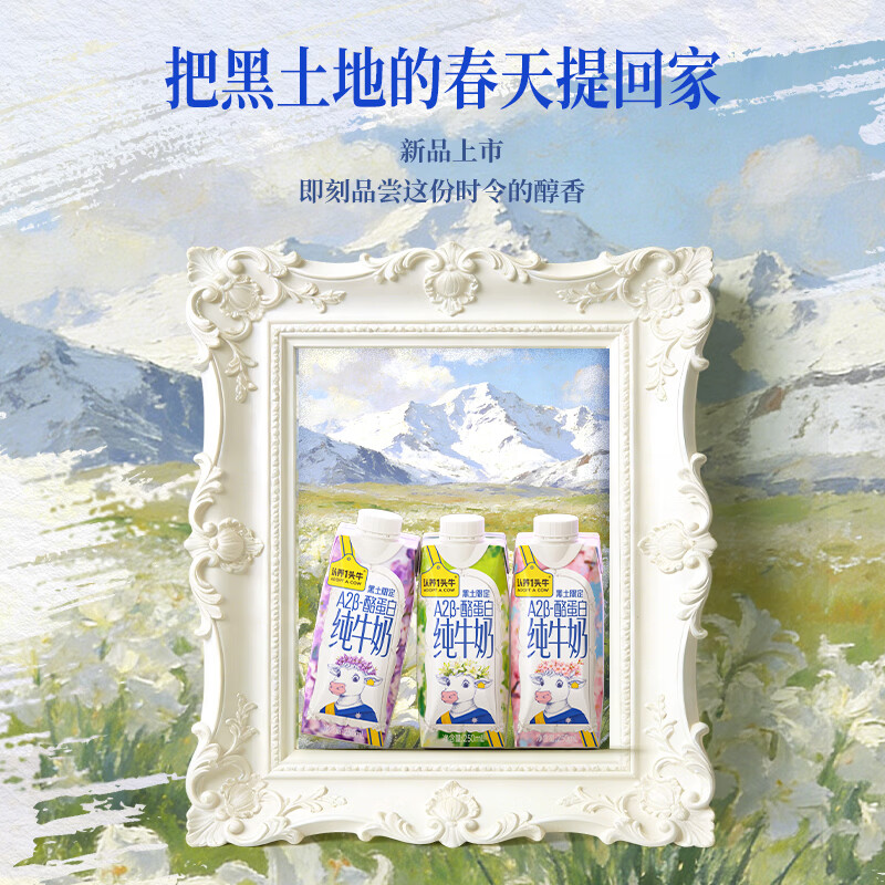 认养一头牛【3.6g蛋白】A2β-酪蛋白纯奶 黑土限定 春季限定  4月产 zy A2β梦幻盖10盒*2箱