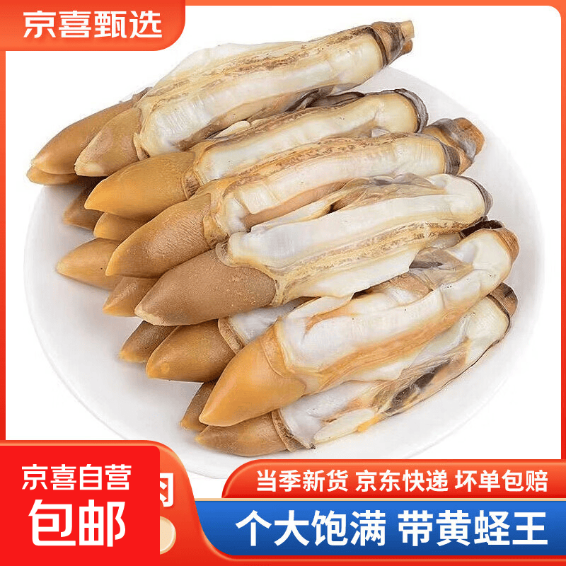 鲜冻去壳无沙蛏王肉 冷冻大号蛏子肉竹节蛏 贝类海鲜水产 蛏王肉 500g(净重)