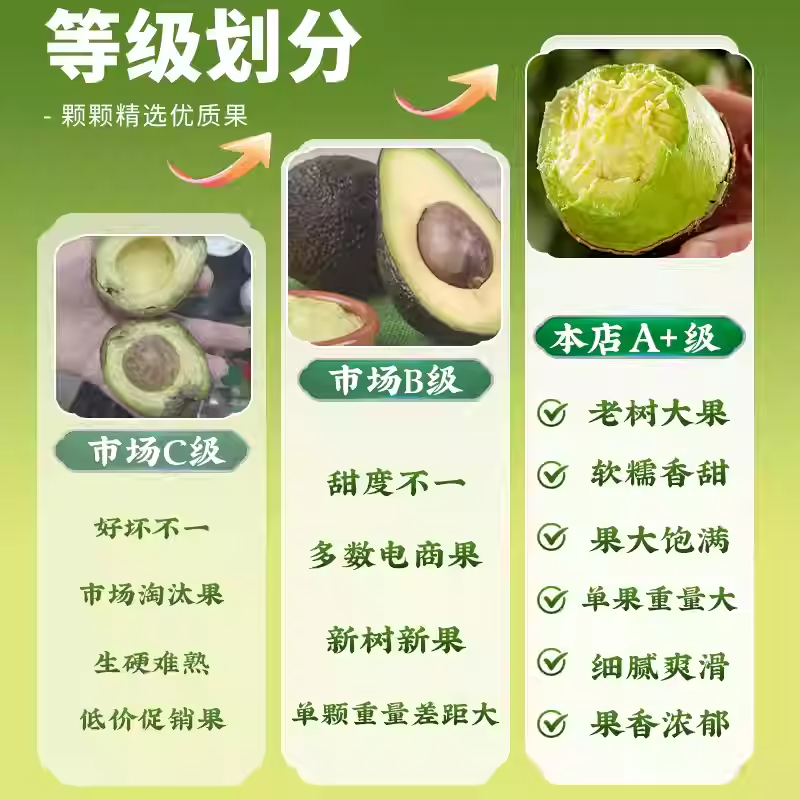 【超特价】哈斯秘鲁进口牛油果宝宝辅食鳄梨速发新鲜水果端午礼盒 中果【单果100-130g】果子小 普装 6个 送酱料包
