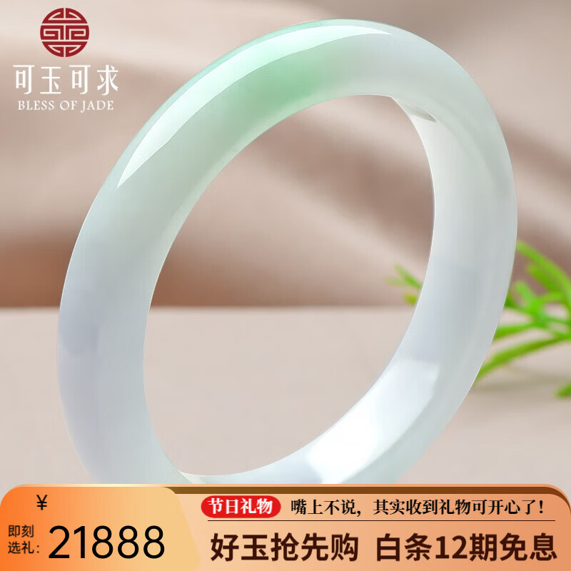 可玉可求 冰底翡翠玉手镯女士 阳绿玉镯子 寓意福满平安 【圈口约55毫米】C5861q