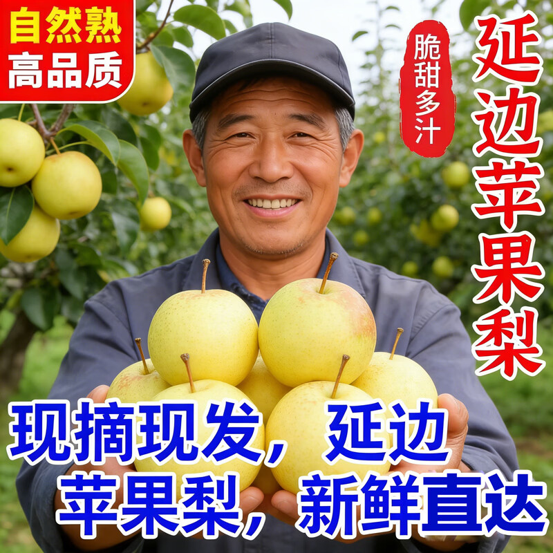 现摘现发一整箱10斤正宗延边苹果梨当季现摘现发皮薄肉厚新鲜 约带箱10斤（净重8.5斤起）