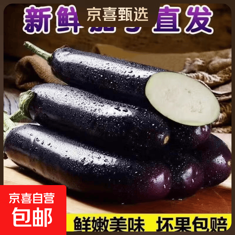 山东新鲜绿把紫皮长茄现摘现发新鲜嫩茄新鲜时令蔬菜生鲜 新鲜绿把紫茄 1斤 现摘现发