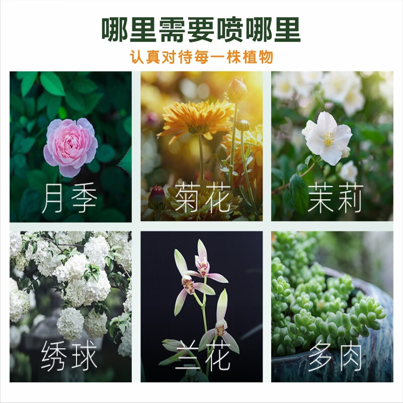 摩登农夫小白月季玫瑰小黑飞天然食用香辛料原料幼宠安全 500ml