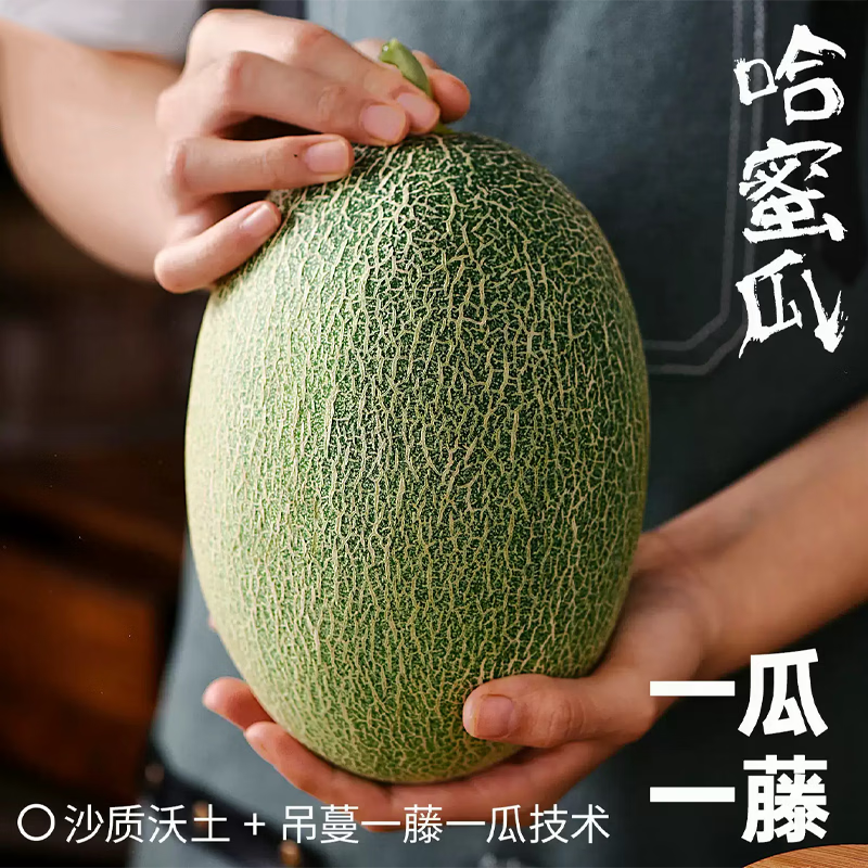 薏品甄鲜海南哈密瓜 新鲜当季水果整箱 西州蜜25号 脆甜蜜瓜 净重4.5-5斤