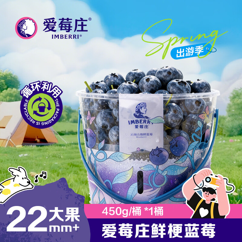 爱莓庄云南桶装鲜梗蓝莓脆甜新鲜人工采摘 450g/桶 22mm+超大 源头直发