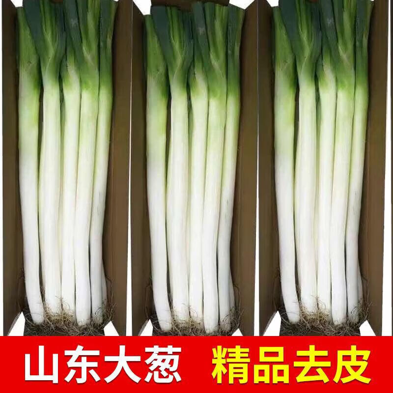山东铁杆大葱10斤一捆批发5斤新鲜蔬菜大葱3斤现挖1斤 葱白长度25 葱白长度25cm起 【去皮】去半叶【优惠装】5斤净重