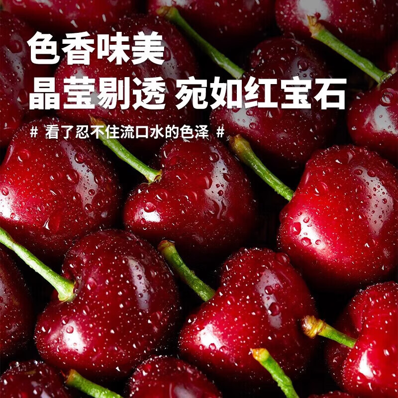 东鲜丰山东樱桃国产大樱桃车厘子【JD多地次日达】新鲜现摘脆甜多汁 3斤(净重) 精品果 单果20-26mm