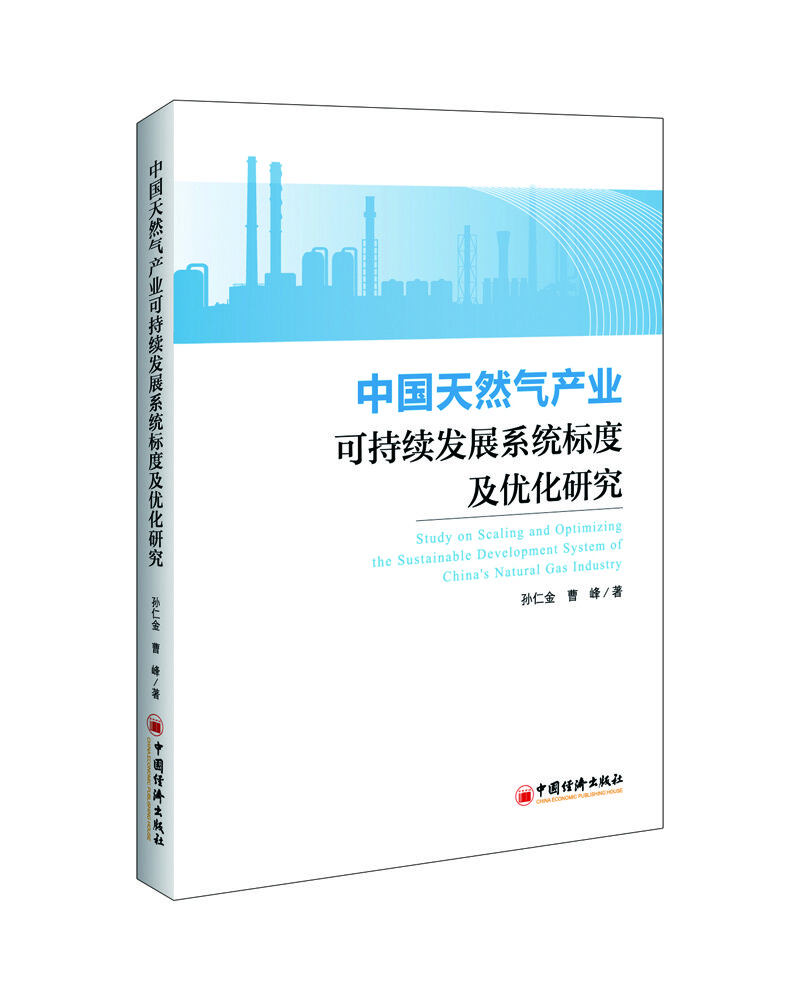 中国天然气产业可持续发展系统标度及优化研究