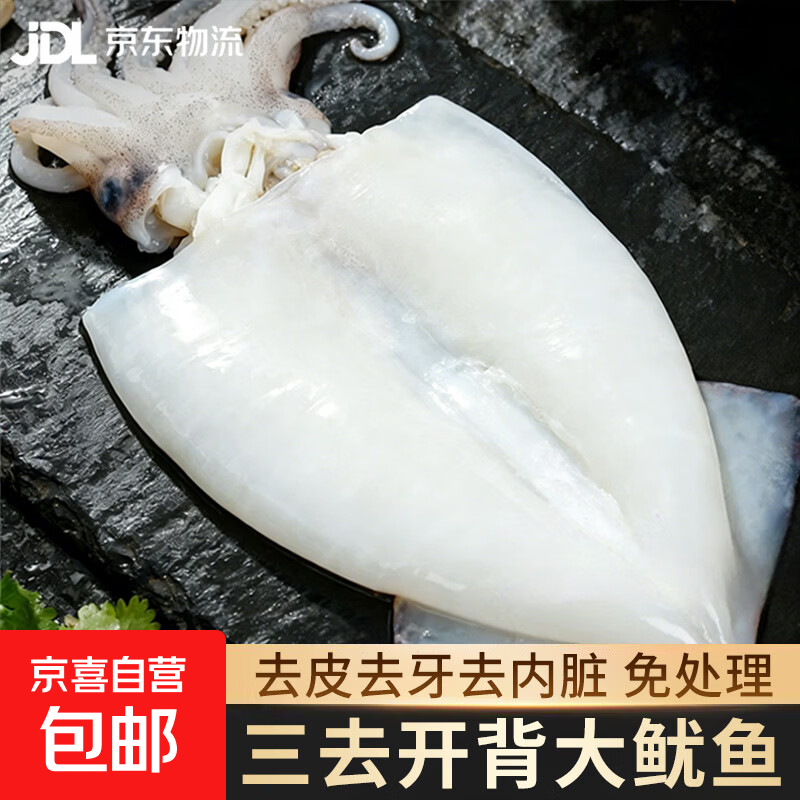 整只大鱿鱼新鲜三去免处理特大野生鱿鱼批发商用铁板鱿鱼火锅生鲜 【免处理】三去开背大鱿鱼 2500g(净重)  （2-4条）