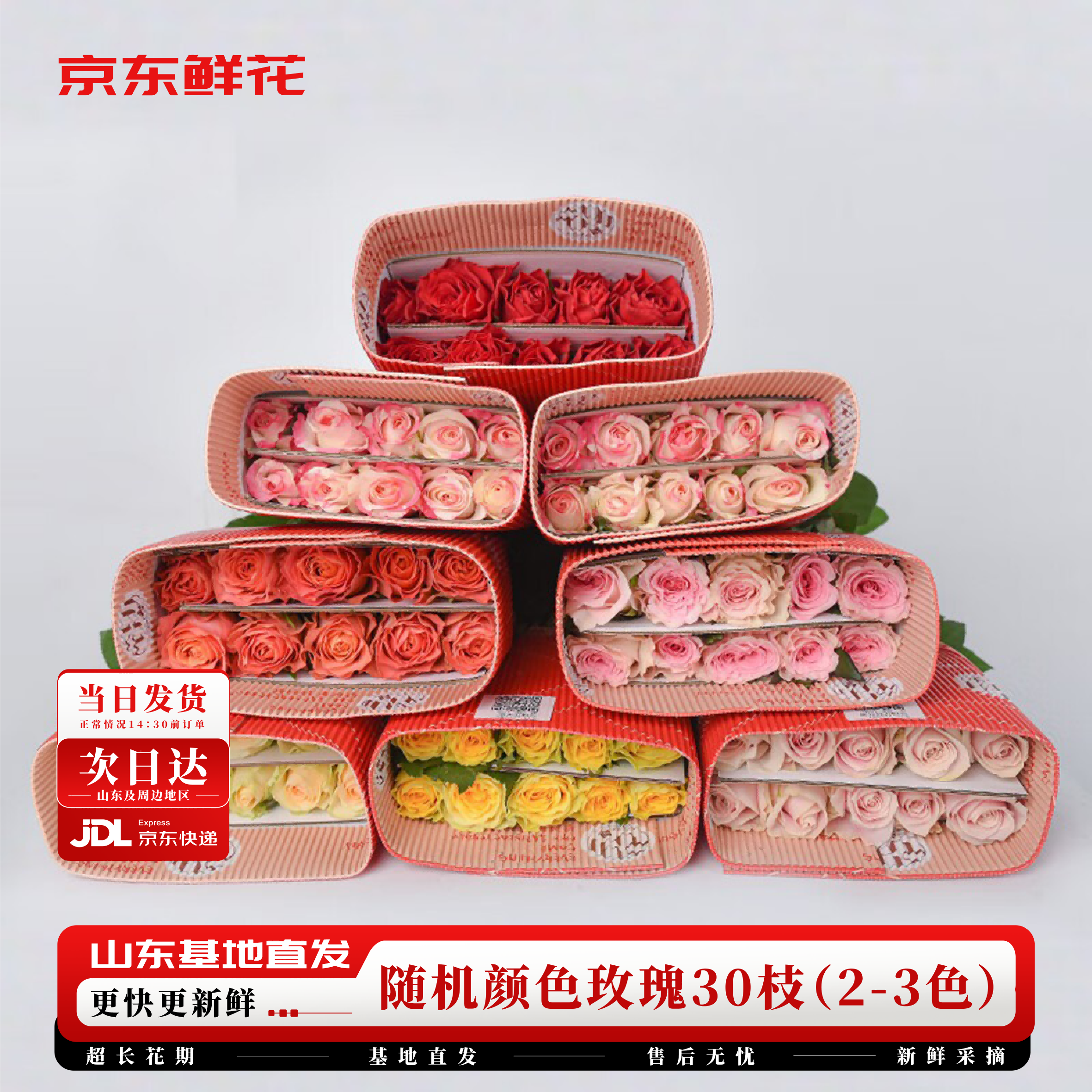 京东鲜花随机色系玫瑰30枝40cm(2-3配色)新鲜现采花束送礼物悦己源头直发