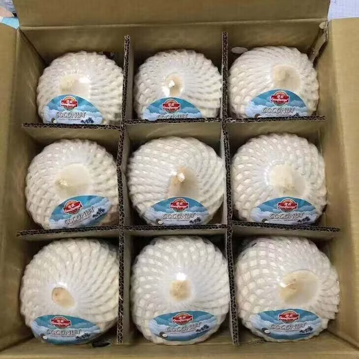 泰国进口椰青新鲜大椰子送开椰器吸管京东快递包邮 泰国椰青6个装单果净重800克起送吸管开椰器