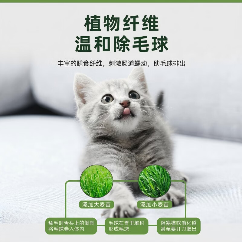 信元发育宝猫草益生元营养膏猫咪专用呵护调理肠胃健康温和化毛排毛美毛护肤 猫草益生元营养膏 125g*1支 CG15