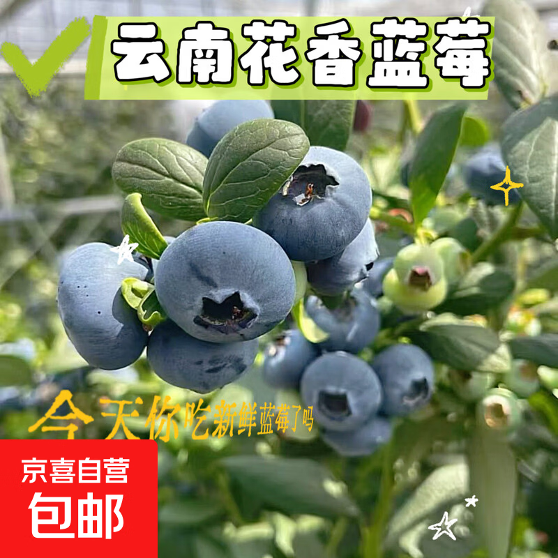 ���ϻ��� ��ݮ�ʹ� 15mm+ 100g*2�� Ӧ��ˮ�� 9.9Ԫ