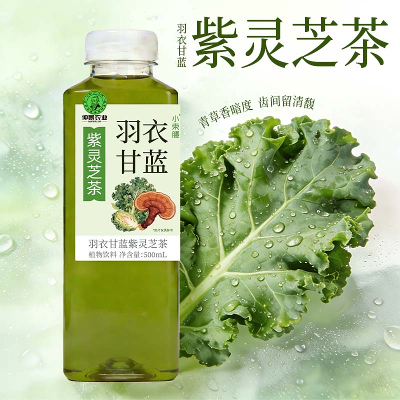 仲景小束腰羽衣甘蓝果汁紫灵芝茶植物饮料500ml便携装 羽衣甘蓝 5瓶