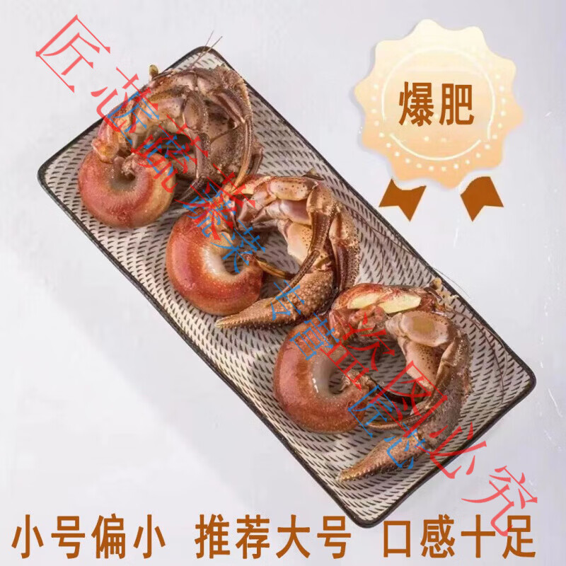 虾怪鲜活寄居蟹食用椰子蟹特大号大寄居蟹海怪海鲜水产贝类 【新鲜爆肥-膏满黄满】 1斤 8-10只-斤【小号】新鲜海捕