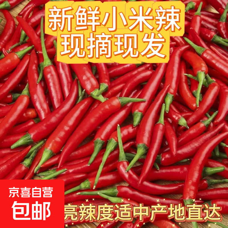 新鲜小米辣朝天椒小米椒巨辣特香鲜货直达 河南精品小米辣半斤装 净重240g