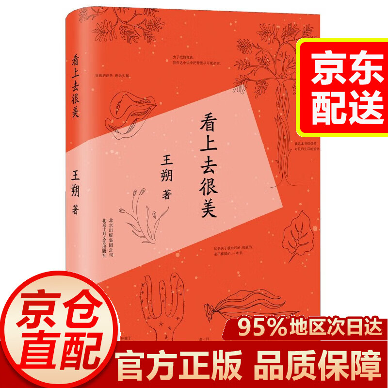 【京东配送.次日达】 起初·纪年 王朔新