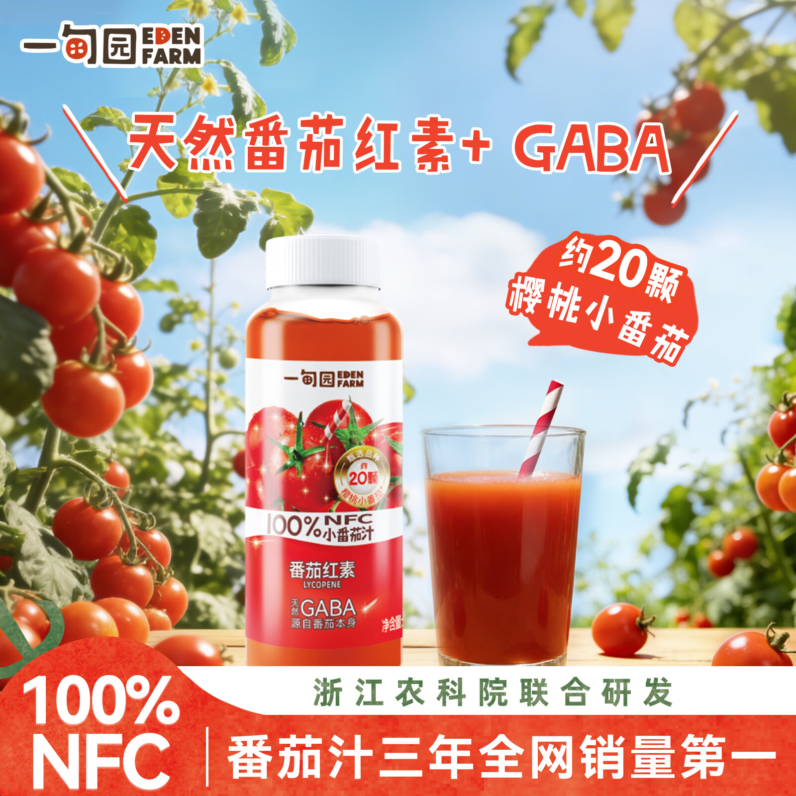 一甸园（Eden Farm）【0添加0糖】100%nfc樱桃小番茄汁无添加含番茄红素GABA礼盒 100%NFC番茄汁210ml*8瓶*2箱