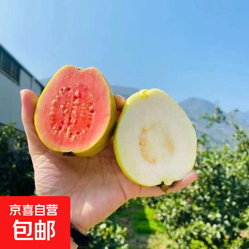 广东双拼红心白心软芭乐番石榴奶油冰淇淋口感软糯新鲜低糖水果 3斤双拼软心芭乐